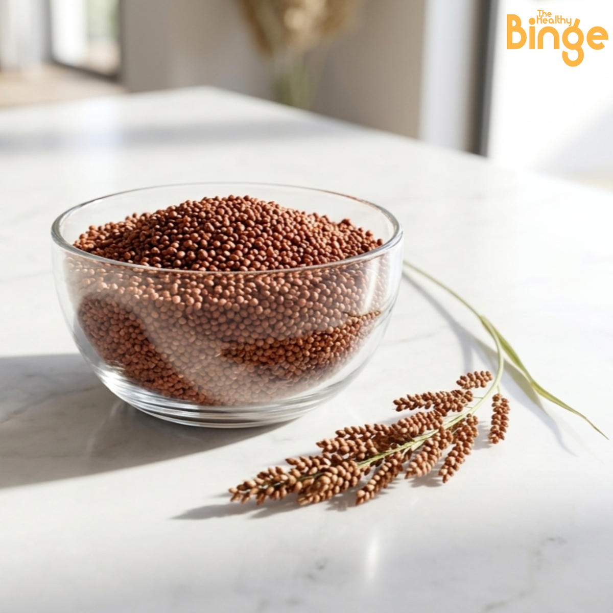 Ragi History India: Why Dadi Was Right About This 5,000-Year-Old ...